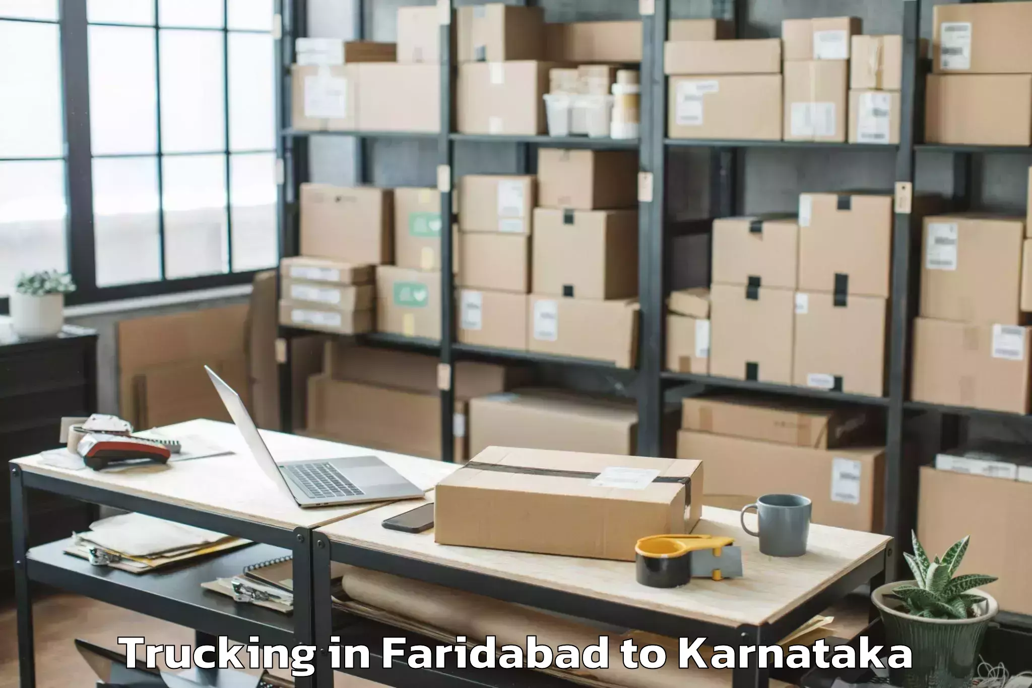 Book Faridabad to Mayakonda Trucking Online